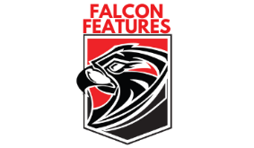 Falcon Features Logo