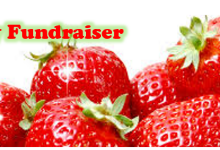 Strawberry Fundraiser Graphic